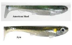 3:16 Lure Company Baits 3:16 Rising Son Line Thru