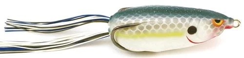 SPRO Bronzeye Shad 65 Baits 6 SPRO Bronzeye Shad 65 Baits