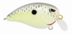 Baits SPRO Fat John 50 11 Baits SPRO Fat John 50