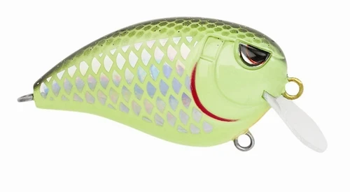 Baits SPRO Fat John 50 2 Baits SPRO Fat John 50