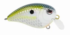 Baits SPRO Fat John 50 13 Baits SPRO Fat John 50