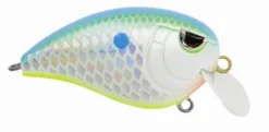 Baits SPRO Fat John 50 12 Baits SPRO Fat John 50