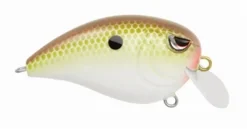 Baits SPRO Fat John 50 14 Baits SPRO Fat John 50