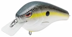 Baits Spro Fat Papa SB 55
