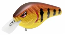 Baits SPRO Fat Papa SB 70