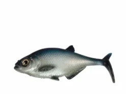 Baits Smash-Tech 7" Line-Thru Gizzard Shad 7 Baits Smash-Tech 7
