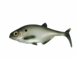 Baits Smash-Tech 7" Line-Thru Gizzard Shad 6 Baits Smash-Tech 7