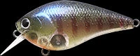 Fishin' World Baits Lucky Craft LC Series Crankbait 6 Fishin' World Baits Lucky Craft LC Series Crankbait