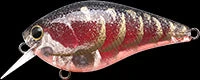 Fishin' World Baits Lucky Craft LC Series Crankbait 7 Fishin' World Baits Lucky Craft LC Series Crankbait