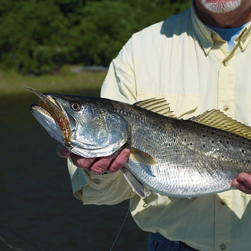 Mirrolure Provoker 2 Mirrolure Provoker