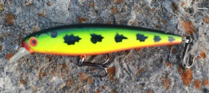 Fishin' World Baits Peacock Minnow 6" 3 Fishin' World Baits Peacock Minnow 6"