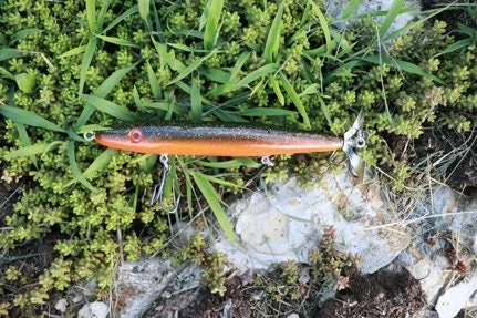 Fishin' World Baits Peacock Top Secret 7" 3 Fishin' World Baits Peacock Top Secret 7"