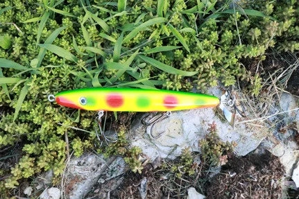 Fishin' World Baits Peacock Top Secret 7" 4 Fishin' World Baits Peacock Top Secret 7"