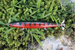 Fishin' World Baits Peacock Top Secret 7"