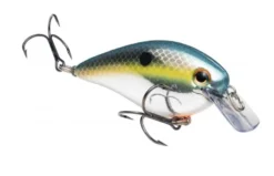 Strike King KVD 1.5 Squarebill
