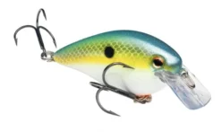 Strike King KVD 1.5 Squarebill 14 Strike King KVD 1.5 Squarebill