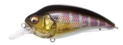 Baits Megabass Super-Z Z1 Crank Bait 8 Baits Megabass Super-Z Z1 Crank Bait