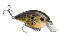 Strike King KVD 8.0 Magnum Squarebill Crankbait 10 Strike King KVD 8.0 Magnum Squarebill Crankbait