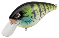 Baits Spro Hunter Crank 65 SB
