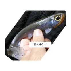 3:16 Lure Company 3:16 Weedless Rising Son Baits