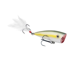 Strike King KVD Splash Jr.