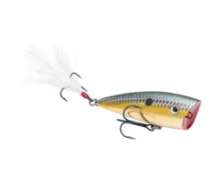 Strike King KVD Splash Jr.