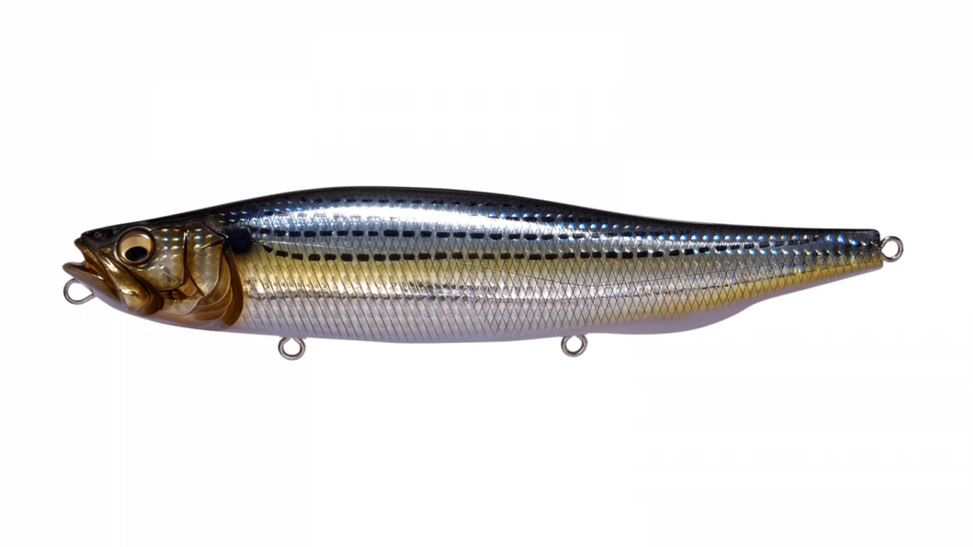 Fishin' World Megabass Megadog Baits 2 Fishin' World Megabass Megadog Baits
