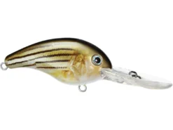 Baits Strike King Pro Model 10XD Crankbait 12 Baits Strike King Pro Model 10XD Crankbait