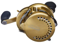 Shimano Calcutta Conquest Round Reel Reels